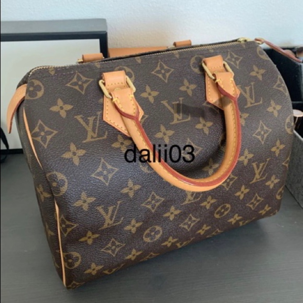 Louis Vuitton Speedy 25